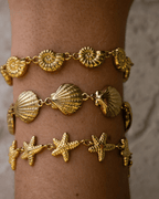 Bracelet Seashell