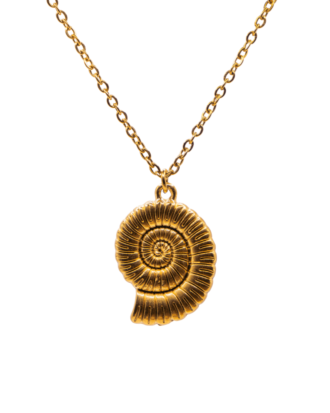 Collier Shell